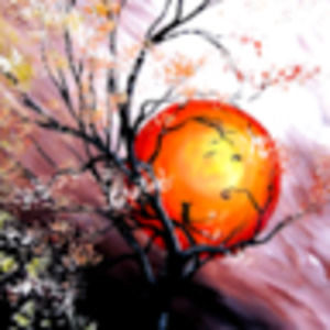 Meet your Posher, Emme